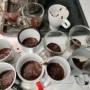 pudding_2022-07-11.jpeg